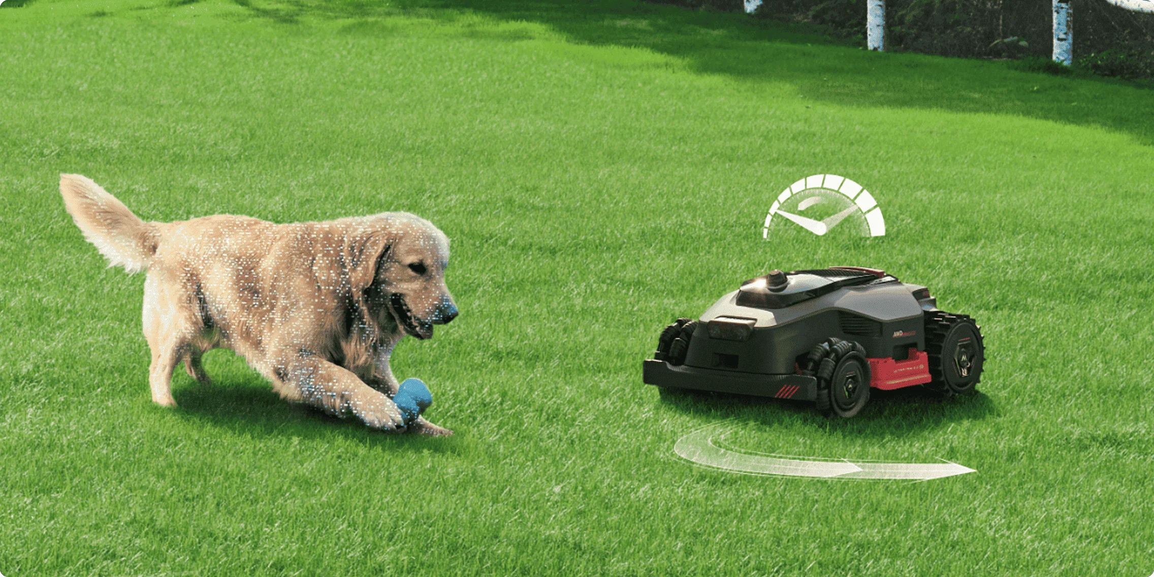 MOVA LiDAX Ultra slowing down near a golden retriever with speed indicator shown